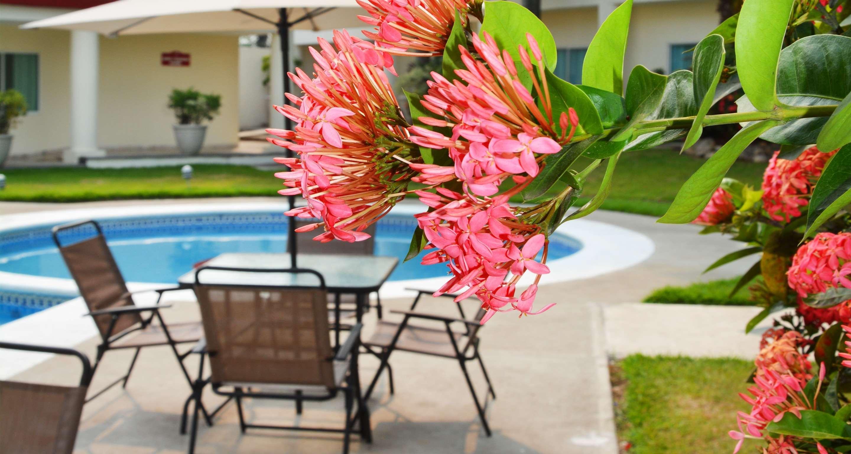 Gran Tuxtepec Plaza Hotel Ngoại thất bức ảnh